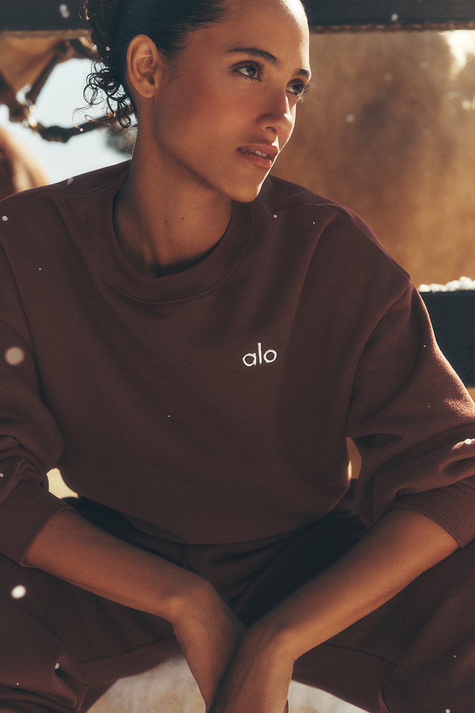 Accolade Crew Neck Pullover - Brownstone